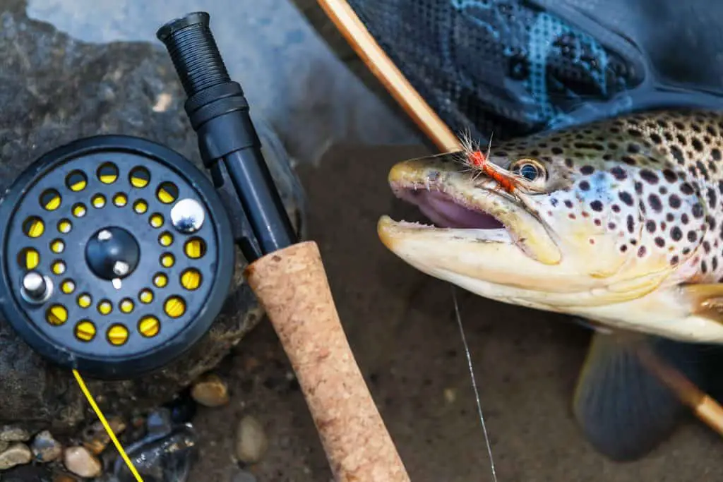 Buying Guide The Fly Rod Combo and Other Great Gift Ideas