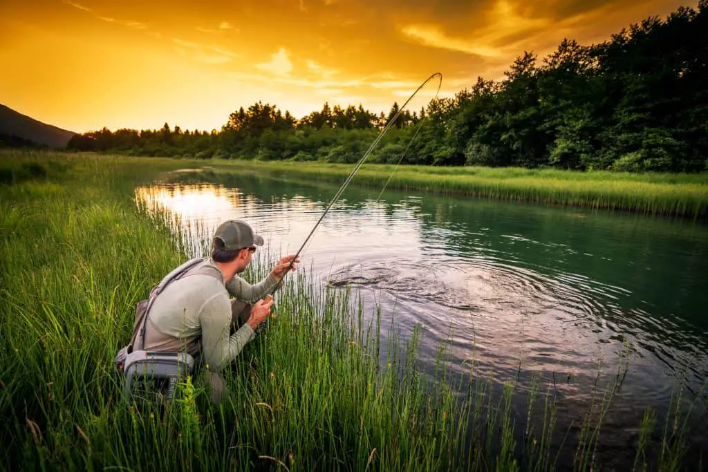 Best fly fishing combo for beginners