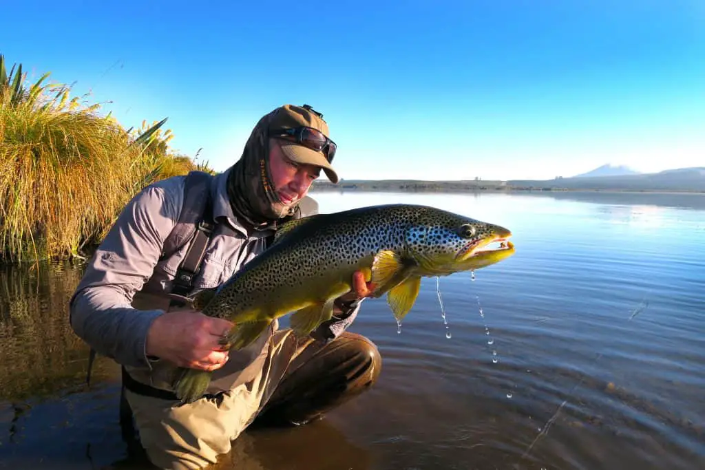 7 Weight Fly Rod Uses