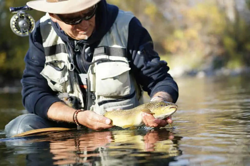 Best Fly Fishing Movies Of All Time